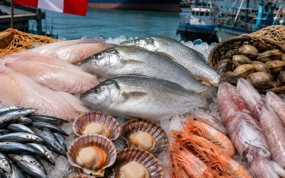 Las especies más exportadas del mar peruano
